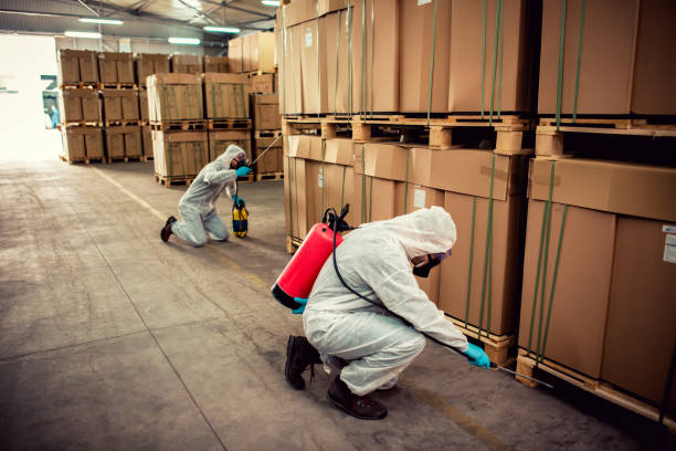 Best Local Pest Control Services  in Carthage, MO