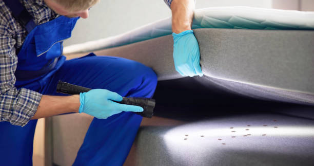 Best Termite Control Services  in Carthage, MO